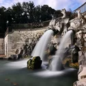 Fontana con due sculture di pesci che spruzzano acqua in un parco